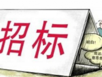 廣寧縣高新產業園扶貧光伏電站項目競爭性磋商