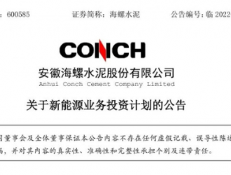 海螺水泥進軍新能源領域，年底光伏裝機將達1GW！